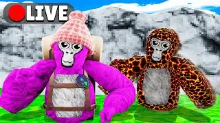 🔴Gorilla Tag ONLY UP LIVE🔴