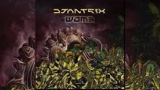 Djantrix - Womb (Original)