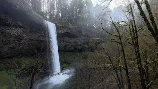Silver Falls State Park - Maple Ridge Loop - Full Hike