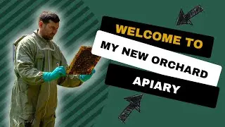 New Orchard Apiary - Only Moved 50m!