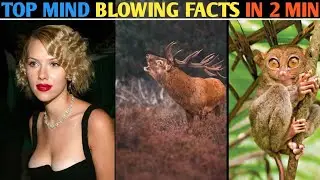 TOP AMAZING FACTS || FACTS 1 ||