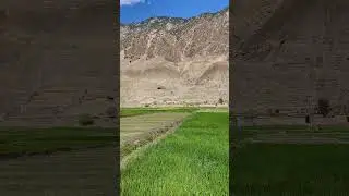 Agricultural land green land | most beautiful places in chitral and gilgit | view of  nature |