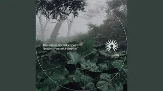 Immersive Rain
