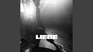 Liebe (Cardinal Session)