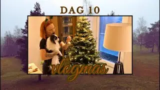 Pynter Endelig Juletreet & Vepsebol Inne / Vlogmas 10