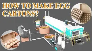 Steps to make egg carton or egg box: egg crate manufacturing process with paper tray molding machine