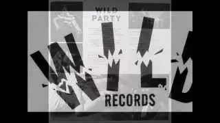 Omar & The Stringpoppers - Someone New (WILDRECORDS)