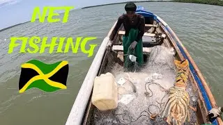 CARIBBEAN NET FISHING, CATCHING POMPANOS & MOJARRAS🇯🇲🇯🇲#jamaica #caribbean #fishing