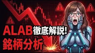 【銘柄分析】ALAB (Astera Labs) 決算：黒字化達成！売上倍増の裏にある「死角」とは？【2025年Q3】