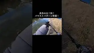 【バス釣り】真冬の五三川！バマストパターン炸裂！！TikTok版