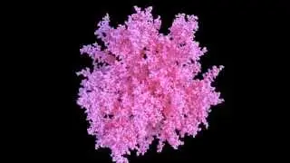 3D Diffusion-Limited Aggregation