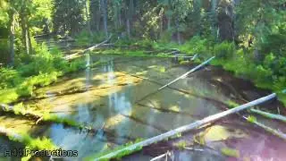 Lava Creek Drone View