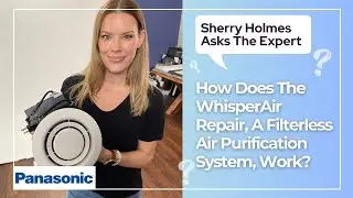 BEST AIR CLEANER - How Does Panasonic WhisperAir Repair Work?
