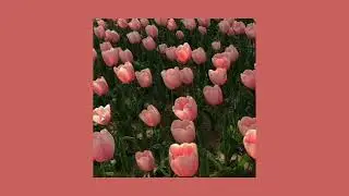 lofi x lofihiphop x chill beat type beat 