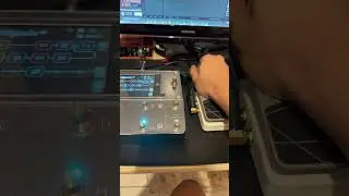 Quad cortex + Hotone Ampero II Press. Volume e Whammy 🤘🏻