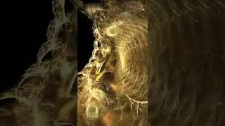 Fractal Theory of the Universe