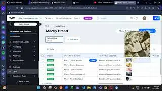 Wix: Dashboard and Settings