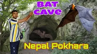 Bat cave। Nepal। Pokhara sightseeing।। বাদুড় এর গুহা। নেপাল পোখরা সাইটসিং।