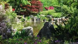 Spring Garden ASMR Ambience