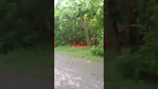 roads of Vietnam