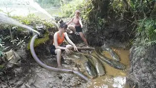 Top video: Harvesting fish with pump - Hunting wild snake | Catch many fish in the wild lake