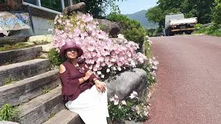 PD-Weekend Drives Geoje-PART 8 HadongStarwayGOSEONG,Board walks,Mountain treks,beachside,Pyeongsa-ri