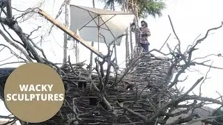 Sculptor creates wooden pirate ship in his back garden