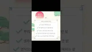 New Year's Event Notice (Must Read!!)