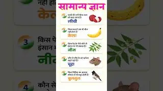 Basic Level Important General Knowledge | Top GK Quiz | Competitive Exam Practice | GK Questions #gk