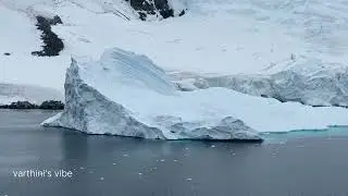 Death March | why?| Antarctica Queen 👑 Now social media Queen....