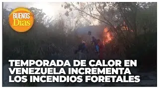 Temporada de calor en Venezuela incrementa los incendios forestales - Valdemar Andrade