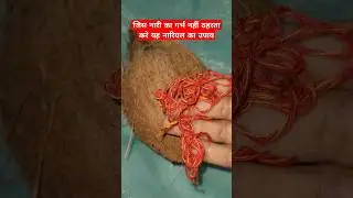 गर्भ ठहरने का उपाय #ytshorts #viral #shivpuran #upay #trending #pradeepmishraji @bhakti_CLIP92