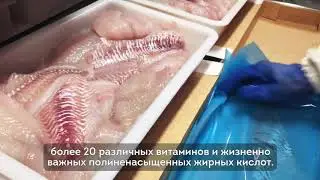 Откуда наша рыба?