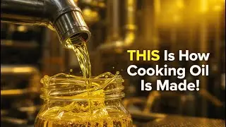 How Cooking Oil Is Refined in Modern Factories