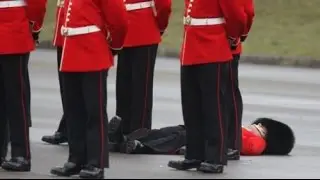 Royal guards epic fail compilation - best of fails funny video