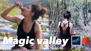 Birthday Solo trip in vattavada | Magic Valley | Vattavada | The beauty of Munnar , India