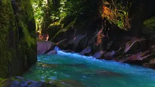 Your New Sleep Routine Starts Here &ndash; Relaxing River Flow & Morning Birds Singing, White Noise