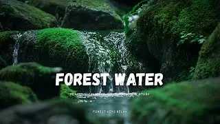 Peaceful Mossy Waterfall 🌿💧 | Relaxing Forest Water Sounds for Sleep, Meditation & Stress Relief
