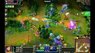 DON'T CHASE SINGED