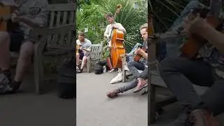 #doublebass #bass #soli #music #guitar #gypsyjazz #manouche #django #london #uk #jazzjam #garden #ti