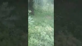 вода пропала 🙄