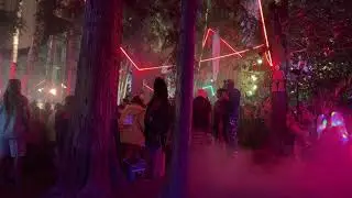 Fractal Forest Ambience at The Funk Hunters | Shambhala Music Festival | 2022 | Fractal Forest