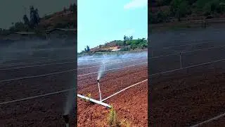 spray hose best lawn sprinklers irrigation control #shorts #tools #flower #landscape #green #field
