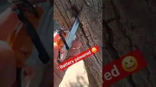 The world's smallest Stihl chainsaw. #michaelstoolbench #stihl #chainsaw #stihlchainsaw