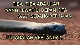ADA ULAR LEWAT DI DEPAN KITA. ADALAH SUATU PERTANDA?...