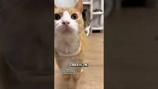 Вот как мы остаёмся в тренде! 💃🏻