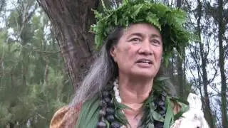 1 2 Hour Documentary The Endangered Seabirds of Kauai HD