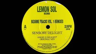 Bizarre Tracks - Sensory Delight (Angel's Delight Mix)