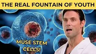 Is THIS Stem Cell Treatment the Key to Youth