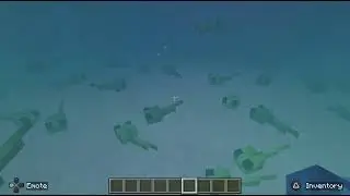 Me in the sperm race